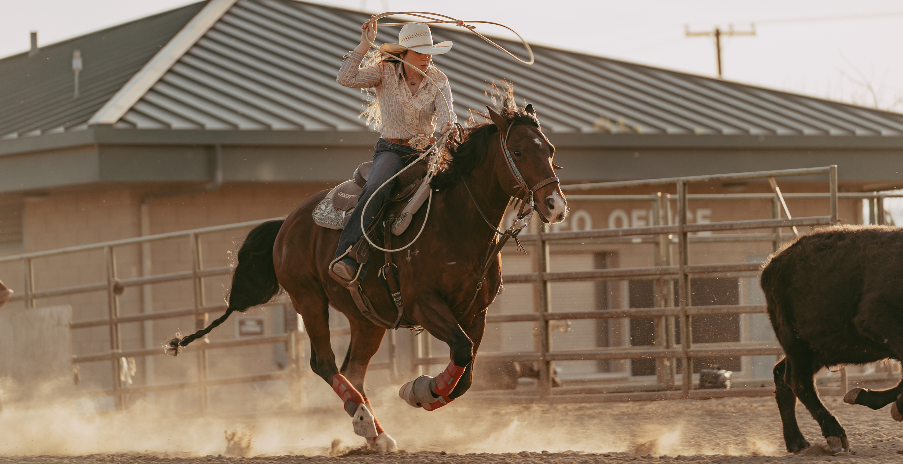 A cowboy in a white hat and boots rides a galloping brown horse while swinging a lasso in a dusty rodeo arena, with a building and fence in the background.