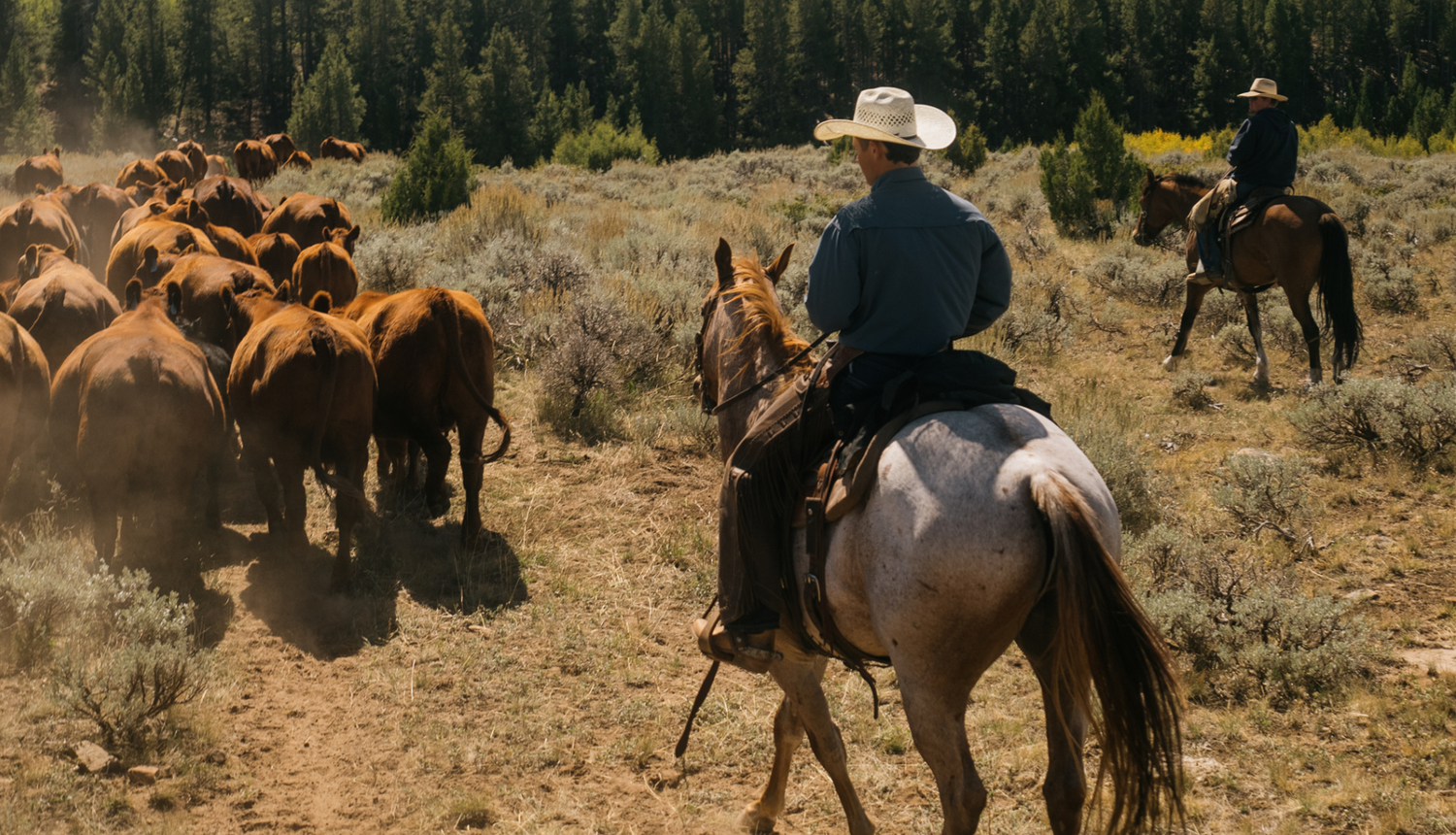 Men's Riding