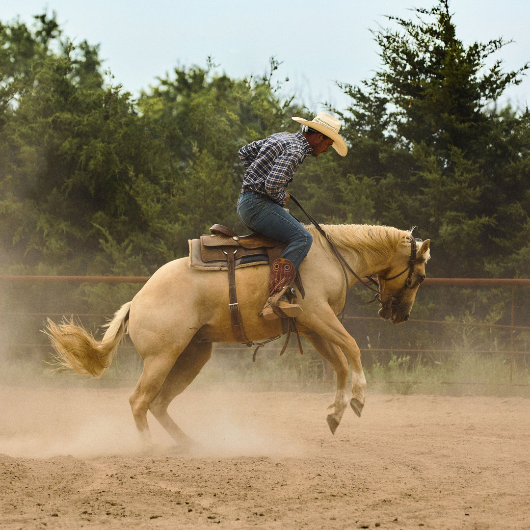 A cowboy wearing a straw hat, plaid shirt, and jeans rides a light tan horse bucking in a dusty outdoor arena with trees in the background.