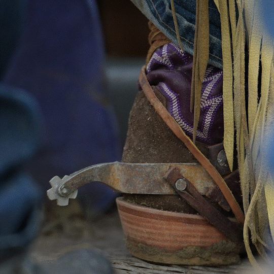 GIF of brown and purple cowboy boot with spur 