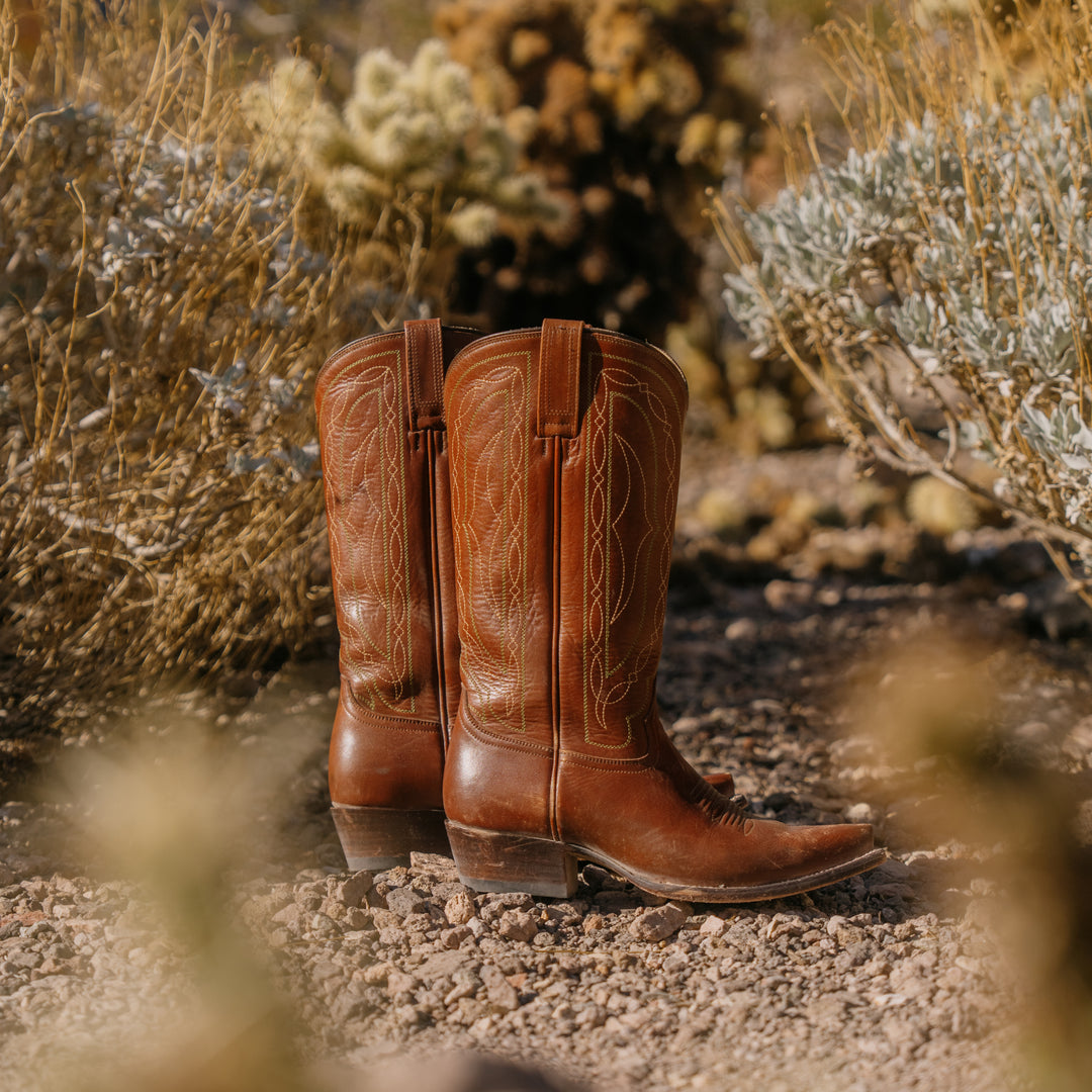 Brown leather cowboy boots on a rocky surface with desert plants in the background