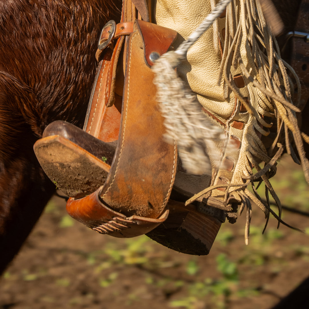 Close-up of a brown leather boot with a stirrup on a horse, set against a natural background.