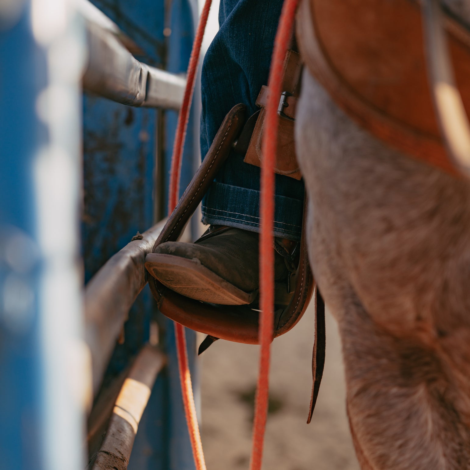 Cowboy boot in stirrup with blurred close up of horse in foreground of shot