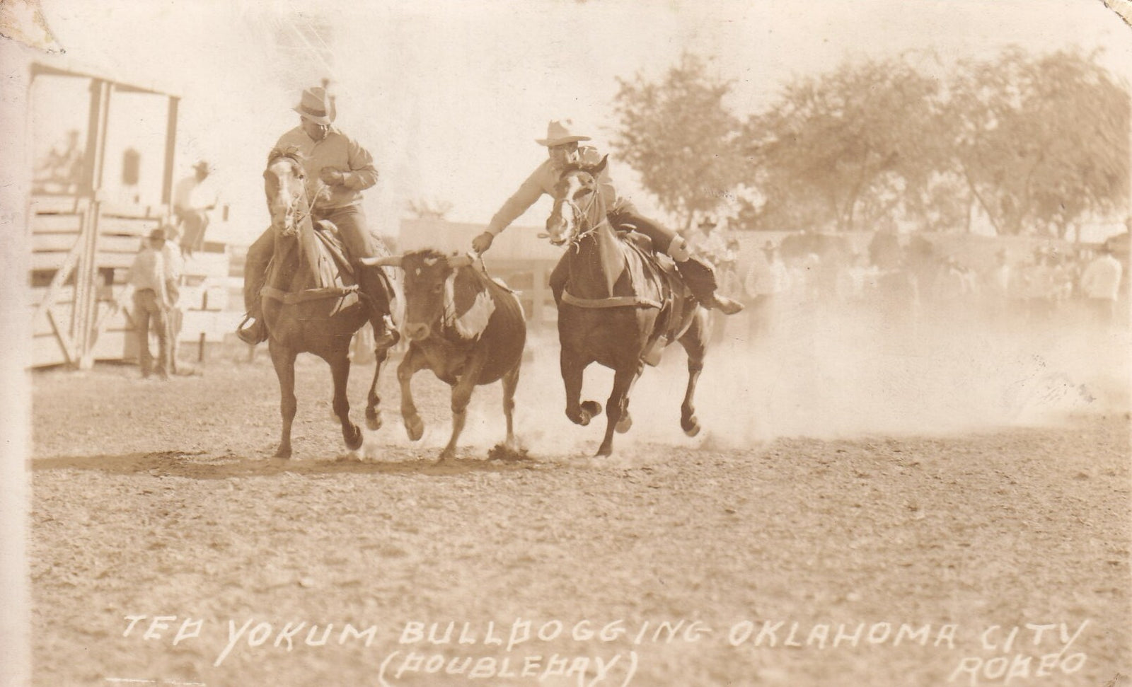 Ted Yokum | OKC Rodeo