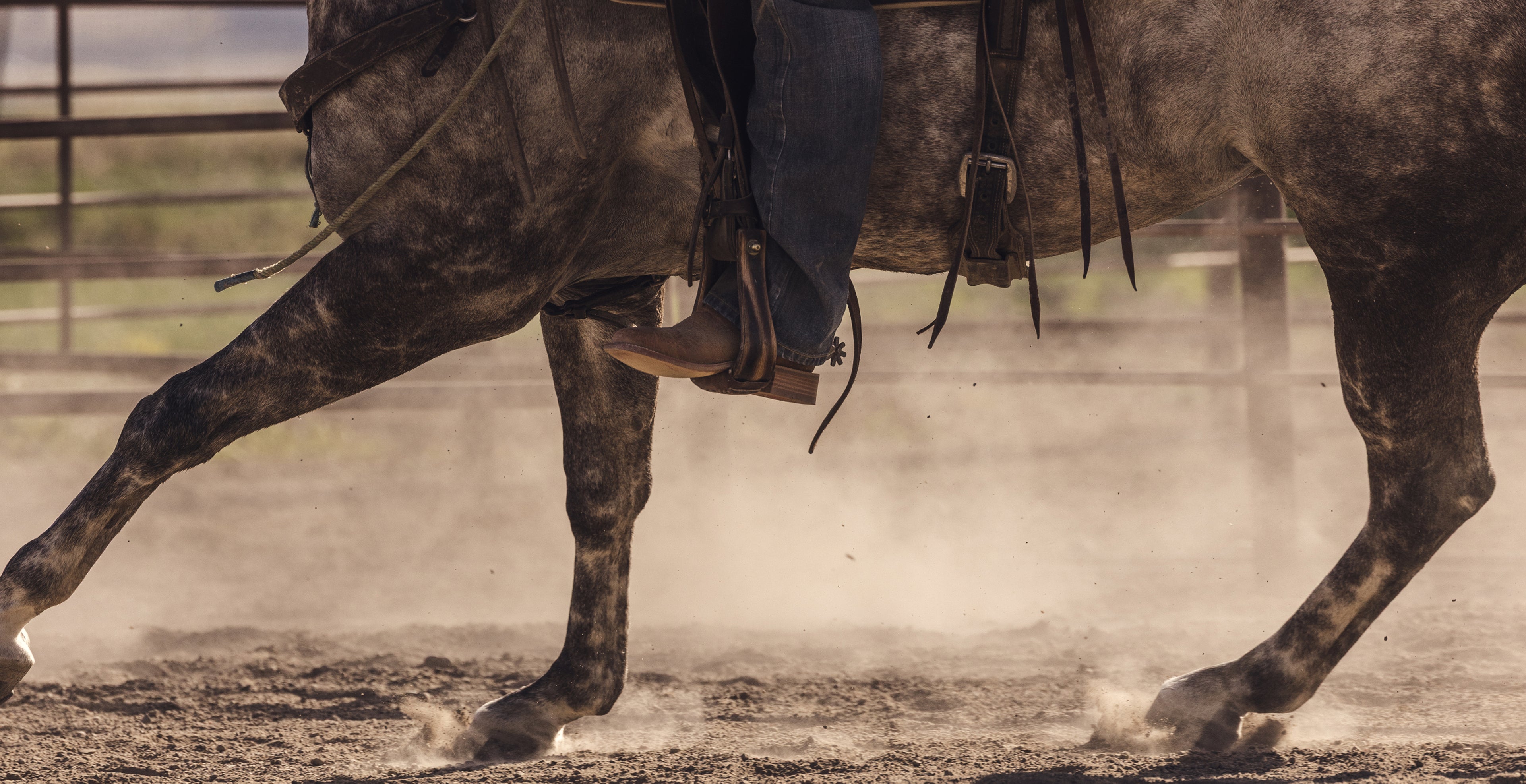 A close-up action shot of a horse in motion with a rider's legs and boots visible in the saddle, kicking up dust in an outdoor arena.