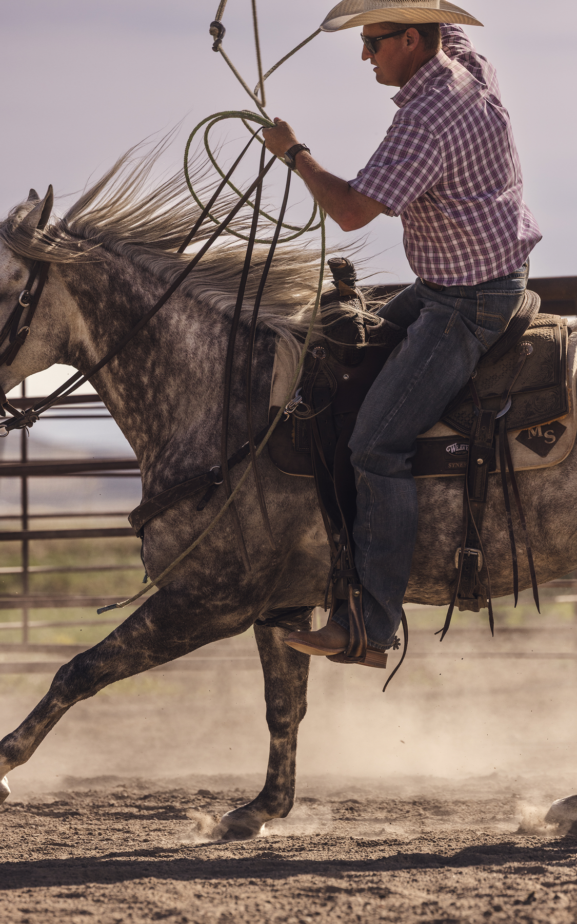 A cowboy in a plaid shirt and jeans rides a dapple-gray horse in a dusty arena while holding a lasso.