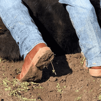 GIF showing cowboy boot in dirt