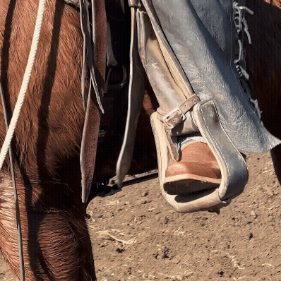 GIF showing cowboy boot in stirrup
