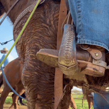 Cowboy boot in stirrup as person is riding horse